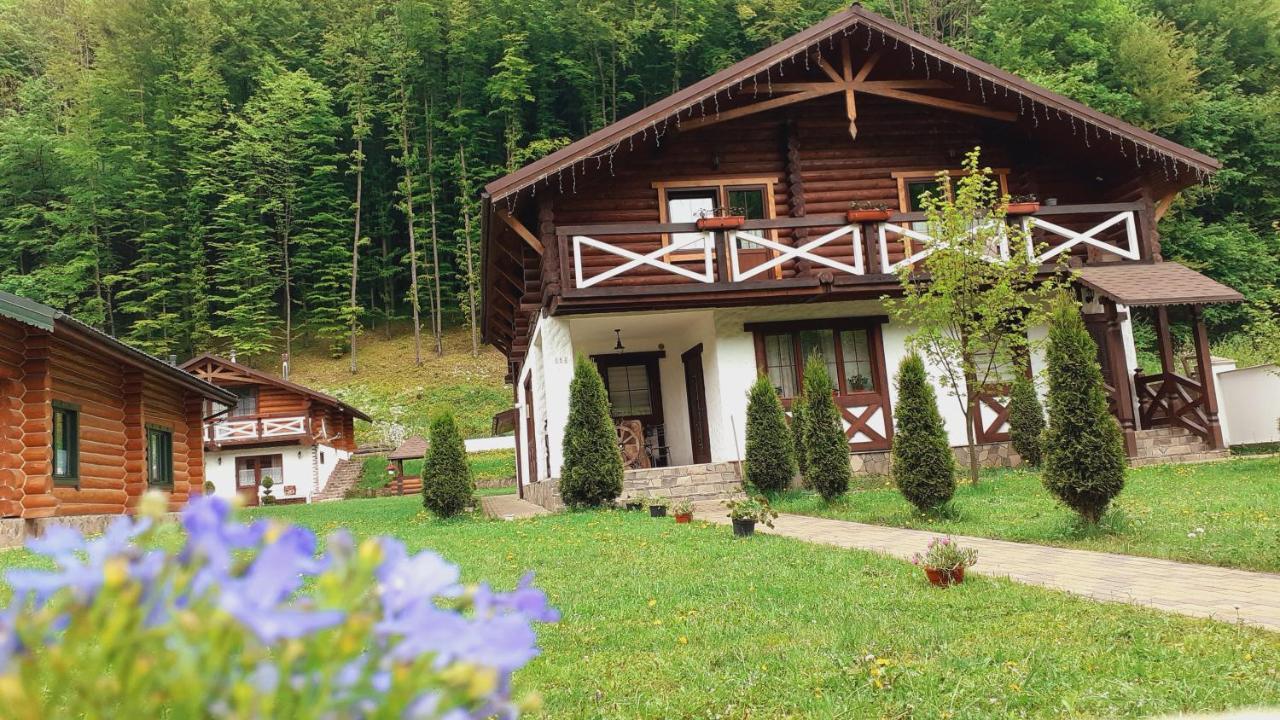U Druziv Hotell Poljana Eksteriør bilde